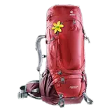 cranberry-aubergine