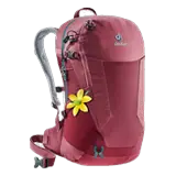 cardinal-cranberry