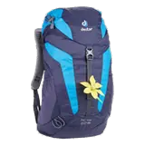 blueberry-turquoise