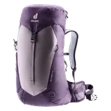 lavender-purple